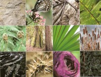 /album/inspiracje1/a1-1-jpg1/